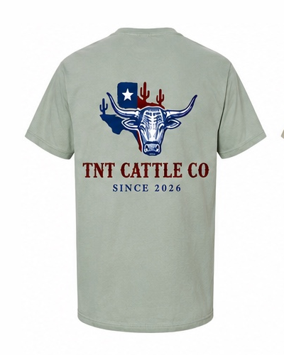 Texas Longhorn collection