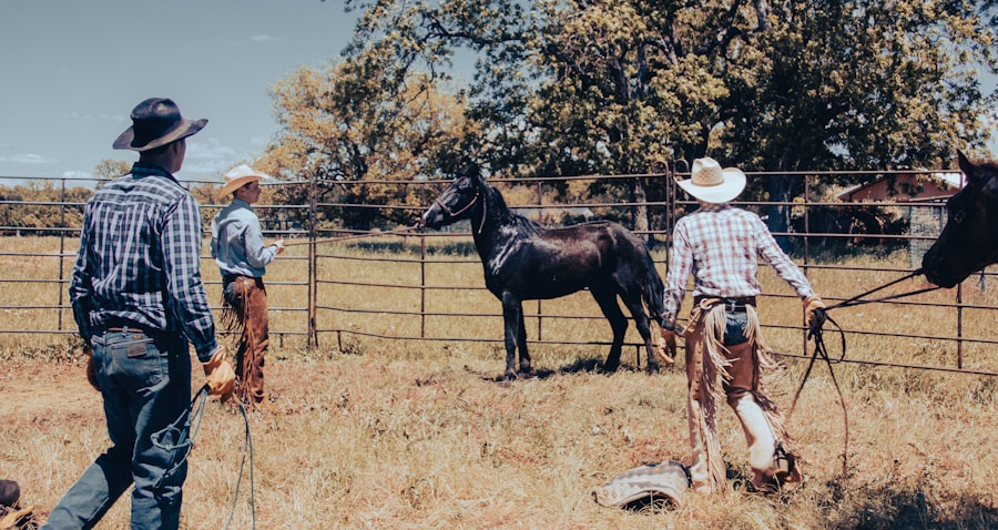TNT Cattle Company cowboys working horses on the ranch