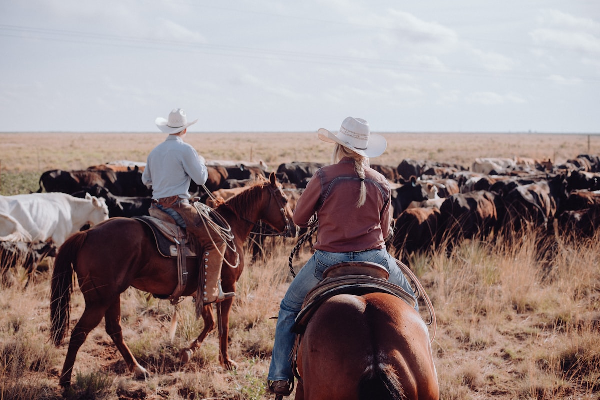 Ranch life at TNT Cattle Company