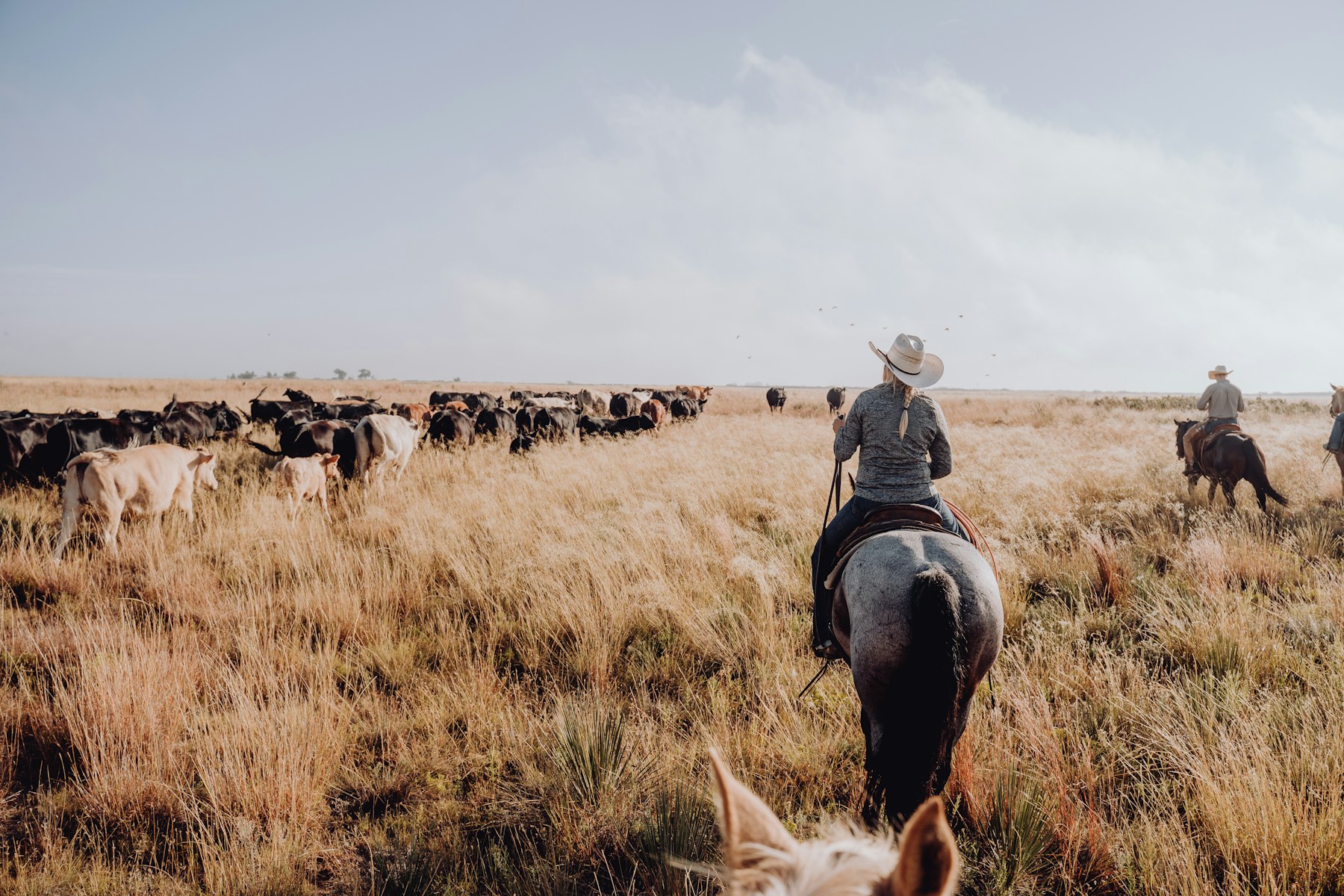 TNT Cattle Company Ranch